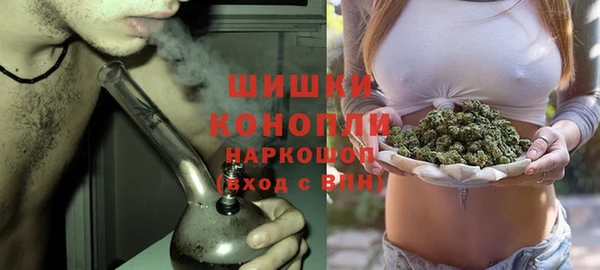 гашик Белокуриха