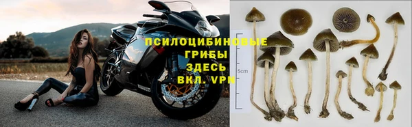 соль ск Беломорск
