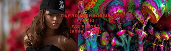 гашик Белокуриха