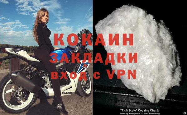 гидра Белоозёрский