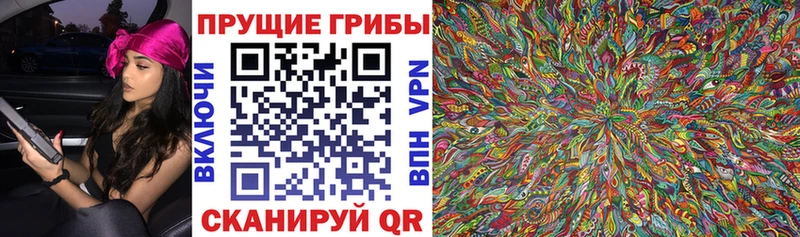 Псилоцибиновые грибы мухоморы Купить закладки Куровское
